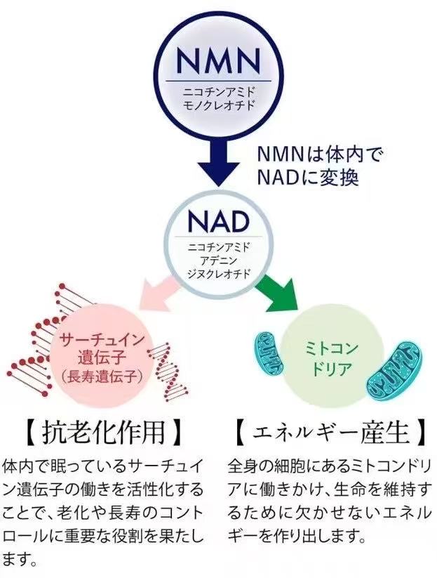 2 枚目の商品画像